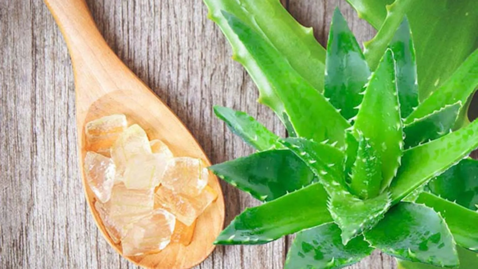 Bật mí 10 cách chữa nấm âm đạo tại nhà an toàn và hiệu quả