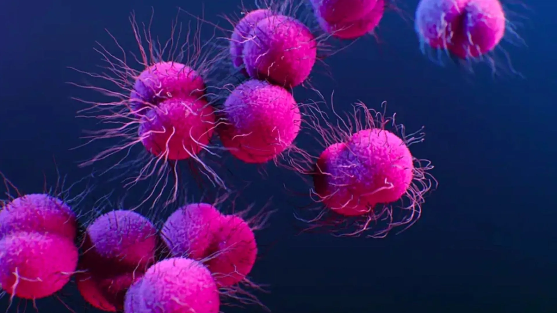 Thời gian ủ bệnh lậu bao lâu và những điều cần biết phòng tránh